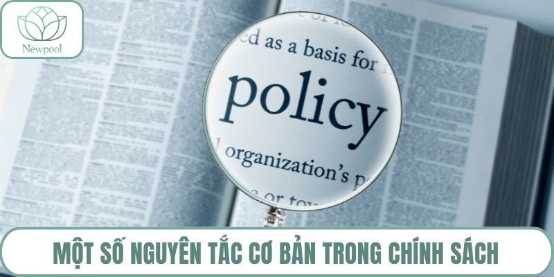 Một số nguyên tắc cơ bản trong chính sách