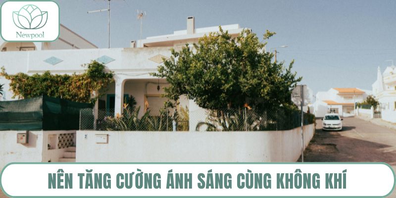 Nên tăng cường ánh sáng cùng không khí