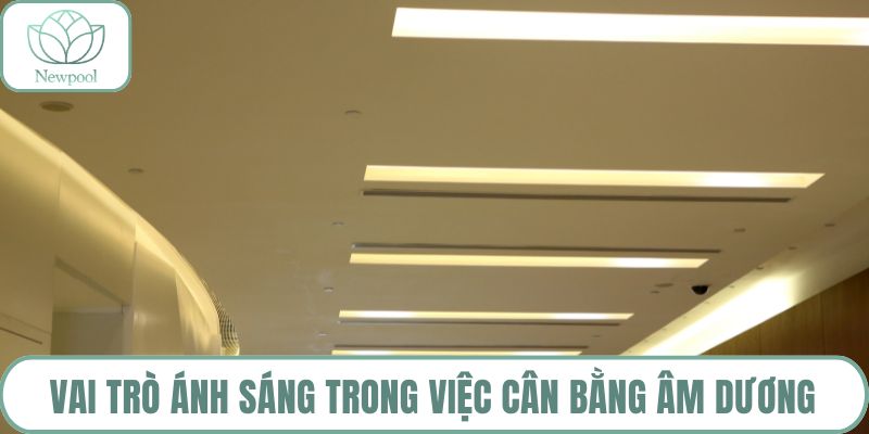Vai trò ánh sáng trong việc cân bằng âm dương