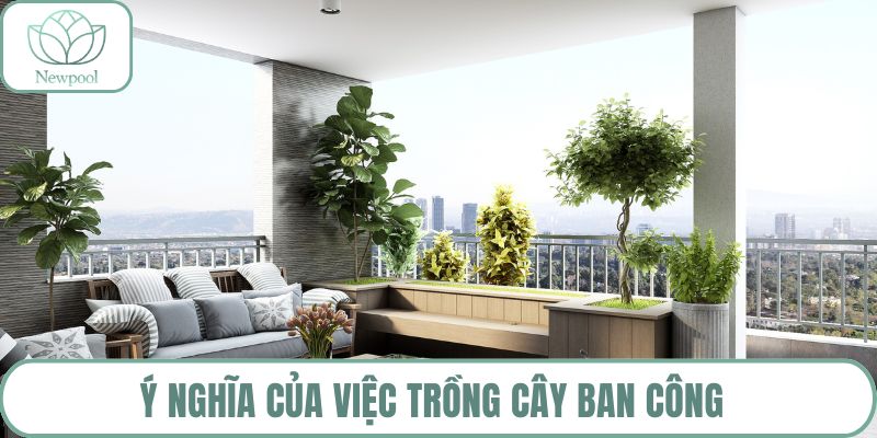 Ý nghĩa của việc trồng cây ban công 